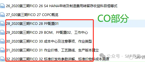 SAP 标准成本发布 CK11N 为什么会翻倍 - 封面图