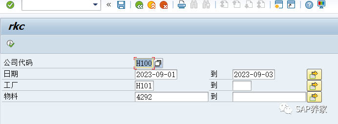SAP 日库存可行性分析 - 封面图