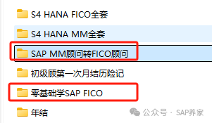 SAP 年薪30万真的很少吗欢迎留言 - 封面图