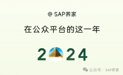 SAP 年薪30万真的很少吗欢迎留言 - 封面图