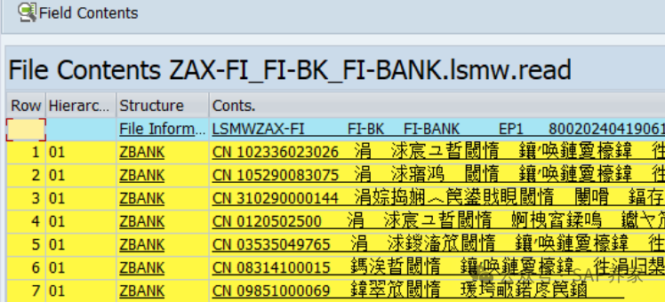 SAP 批导 LSMW 为什么是乱码 - 封面图