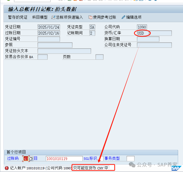 SAP 中最最坑人的外币来了 - 封面图
