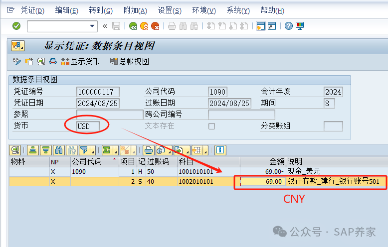 SAP 中最最坑人的外币来了 - 封面图