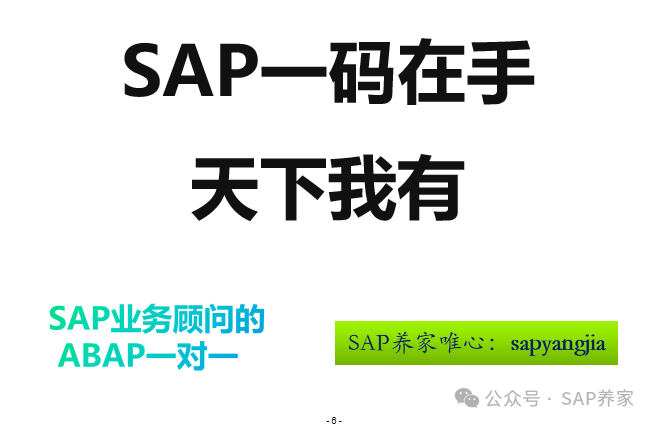 SAP 一码在手天下我有 - 封面图