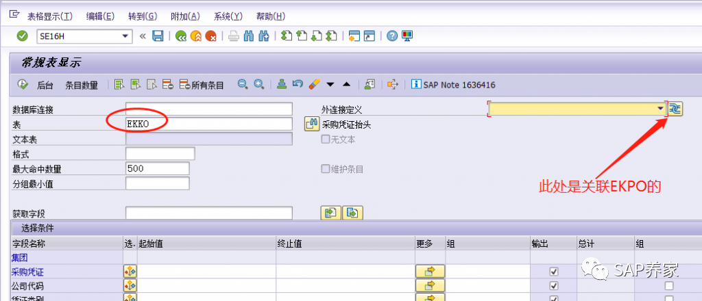 SE16N 增强版 SE16H 多表查询 - 封面图