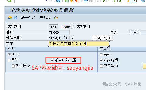 SAP 派生功能范围 - 封面图