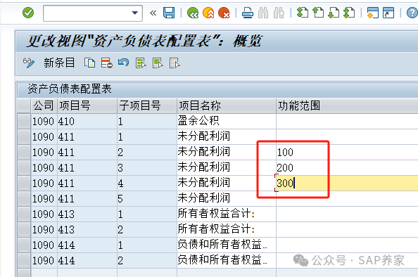 SAP 派生功能范围 - 封面图