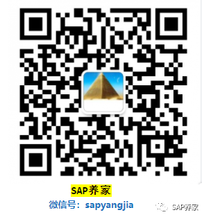 SAP 上线三大难题之三 - 封面图