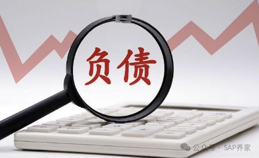 SAPFICO 模块入门幼儿园班03负责类 - 封面图