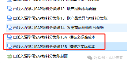 SAP 超级冷门的知识点 - 封面图