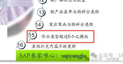 SAP 超级冷门的知识点 - 封面图