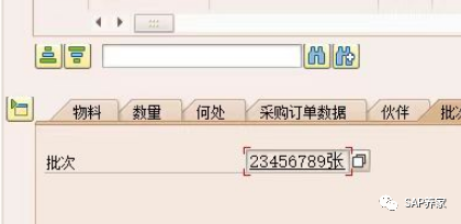天干地支在 SAP 方案中的应用 - 封面图