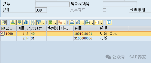 SAPFICO 模块入门幼儿园班01 - 封面图