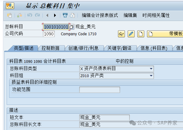 SAPFICO 模块入门幼儿园班01 - 封面图
