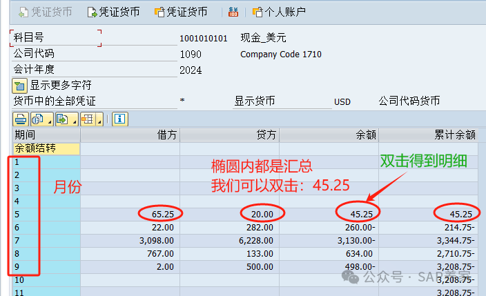 SAPFICO 模块入门幼儿园班01 - 封面图