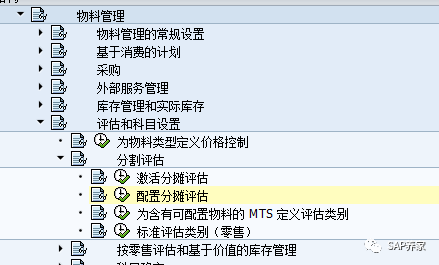 SAP 评估类评估类型分割评估评估范围的区别 - 封面图
