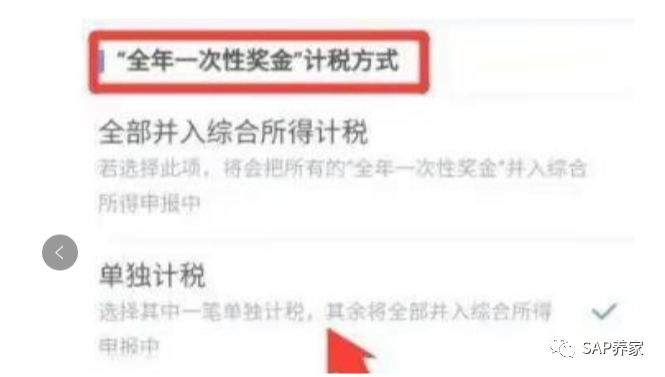 SAP 养家也谈个人所得税退税 - 封面图