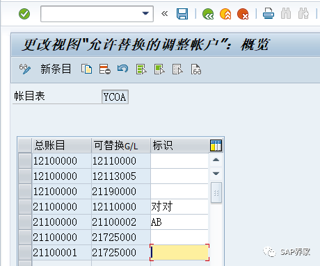SAP 备选统御科目是啥 - 封面图