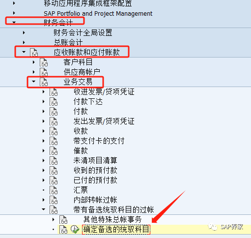 SAP 备选统御科目是啥 - 封面图