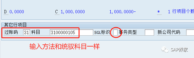 SAP 备选统御科目是啥 - 封面图