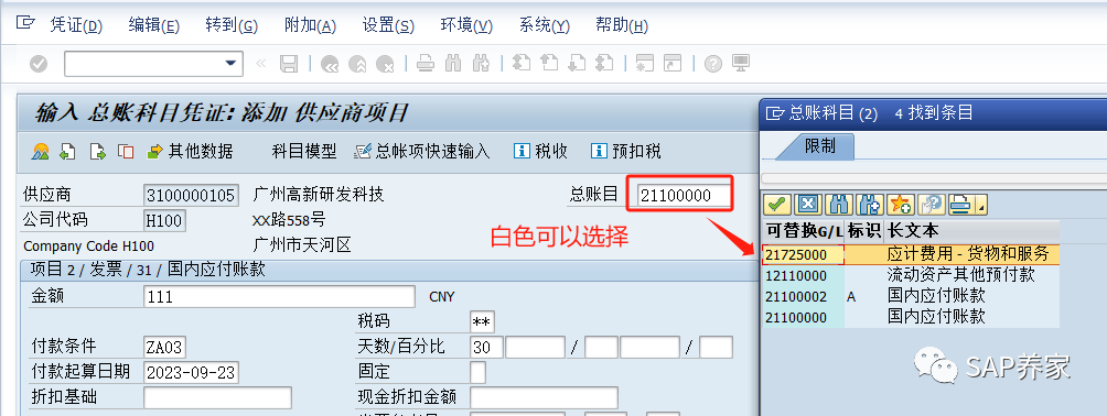 SAP 备选统御科目是啥 - 封面图