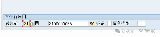 SAPFICO 模块入门小学班03应付_特别总账 - 封面图