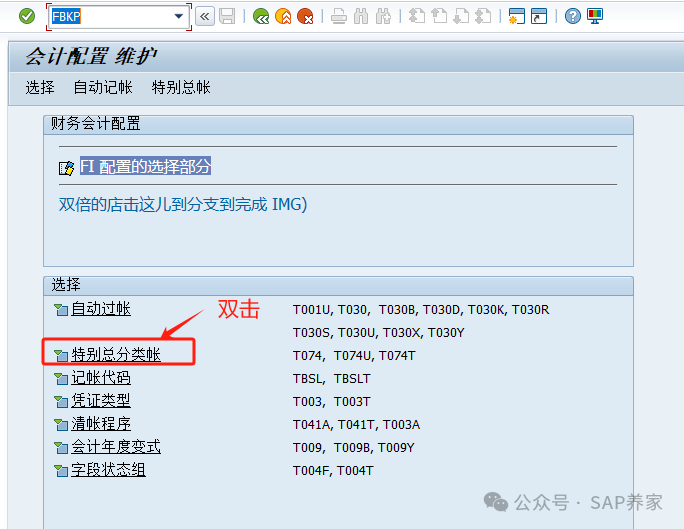 SAPFICO 模块入门小学班03应付_特别总账 - 封面图