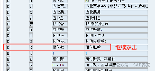 SAPFICO 模块入门小学班03应付_特别总账 - 封面图