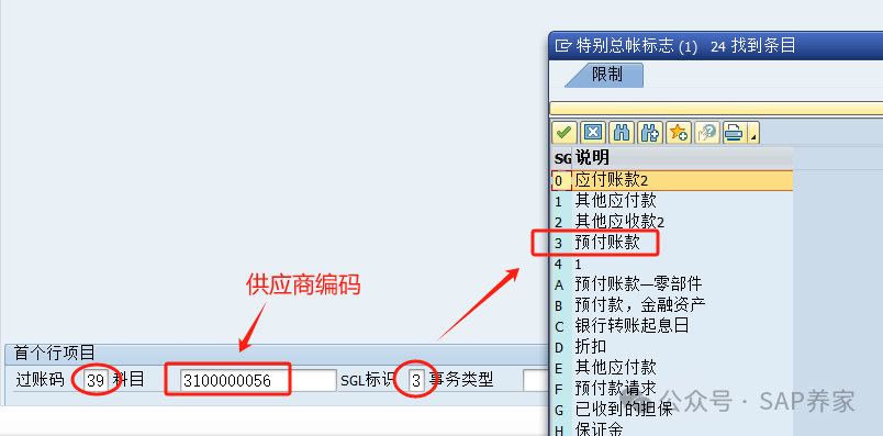 SAPFICO 模块入门小学班03应付_特别总账 - 封面图