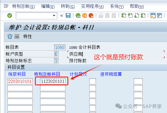 SAPFICO 模块入门小学班03应付_特别总账 - 封面图