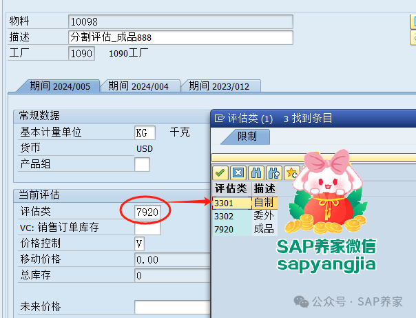 SAP 中分割评估是什么 - 封面图