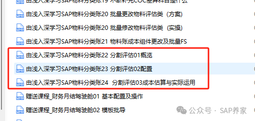 SAP 中分割评估是什么 - 封面图