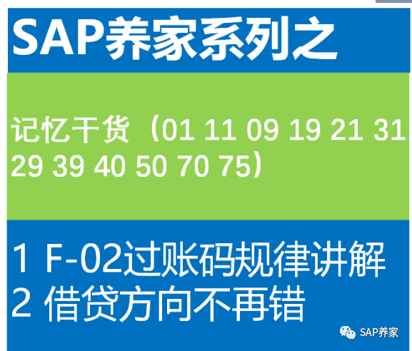SAP 统驭科目详解 - 封面图