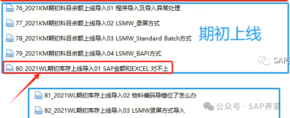 SAP 期初导入之梦醒时分3干货 - 封面图