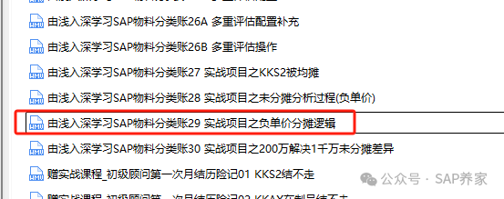 抽丝剥茧讲 SAP 物料分类账未分配差异 B - 封面图