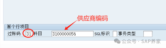 SAPFICO 模块入门小学班02应付 - 封面图