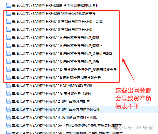 SAPlt 功能范围 gt 导致资产负债表不平 - 封面图