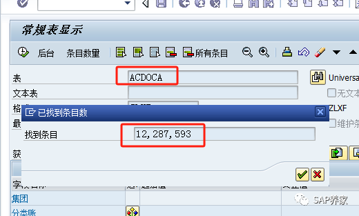 SAP 年结手册 S4HANA 版本第1季 - 封面图