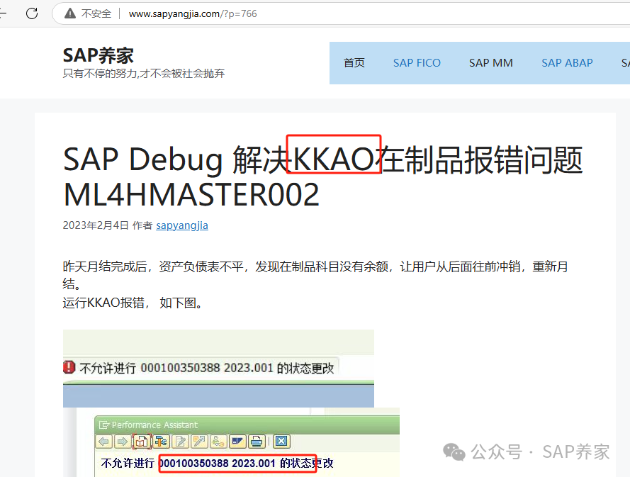 SAP 顾问用 Debug 确定解决问题的方向 - 封面图