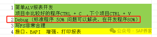 SAP 顾问用 Debug 确定解决问题的方向 - 封面图