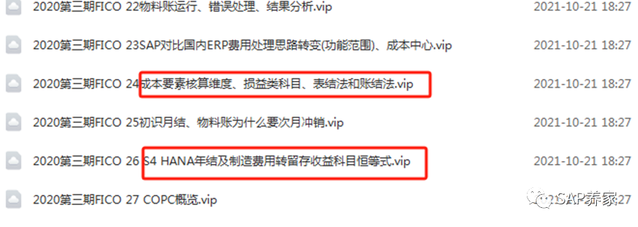 2024年 SAP 年结手册 S4HANA 版本第2季 - 封面图