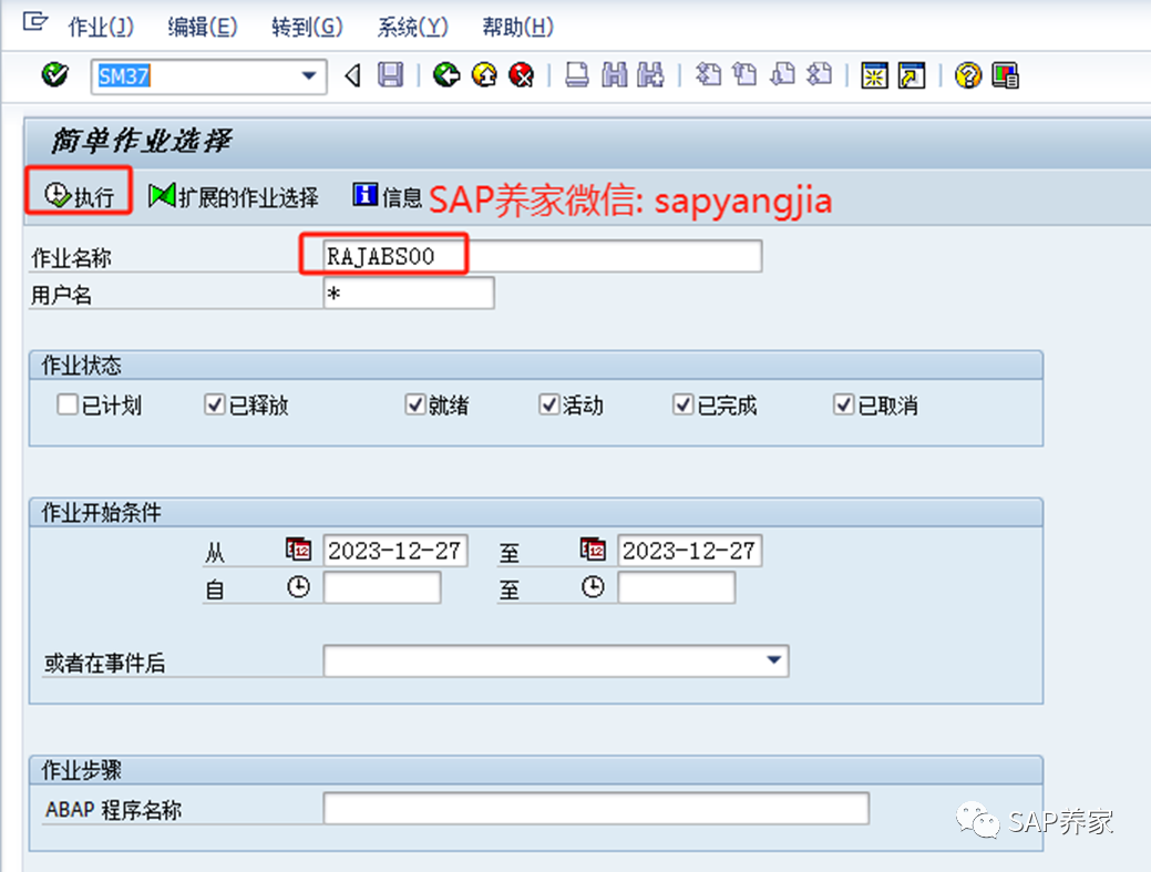 2024年 SAP 年结手册 S4HANA 版本第2季 - 封面图