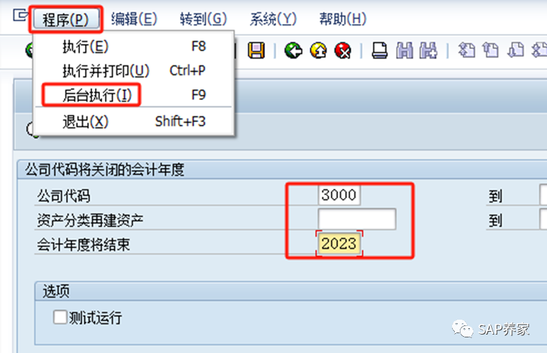 2024年 SAP 年结手册 S4HANA 版本第2季 - 封面图