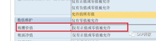 在折旧范围 30 的购置值是负的消息号 AA617 - 封面图