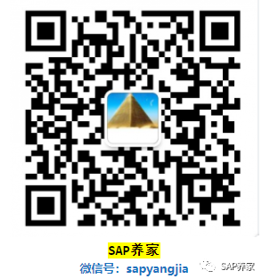 SAP 蝴蝶效应库存金额突然增加3千万 - 封面图