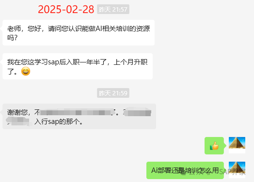 2025版零基础免费学习 SAPFICO - 封面图