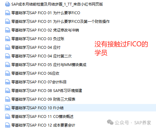 2025版零基础免费学习 SAPFICO - 封面图