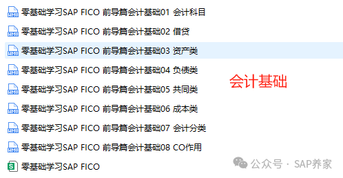 2025版零基础免费学习 SAPFICO - 封面图
