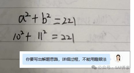 SAP 负单价的本质 - 封面图