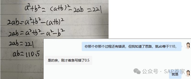SAP 负单价的本质 - 封面图